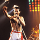 Illustration for article titled Progress: The Boy Scouts Are Posthumously Awarding Freddie Mercury The Oceanography Badge